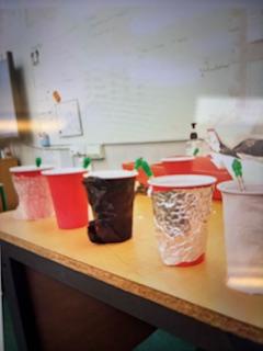 We set up an experiment to test which material would make the best thermal insulator.